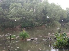 -新江湾城公园