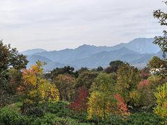-塔川景区