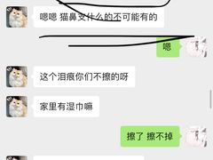 -飞行喵MR PILOT|猫舍·猫咖(静安大融城店)