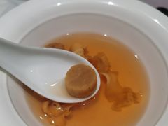 鲜松茸滋补响螺汤-子福慧(虹桥店)