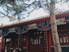 -碑林公园