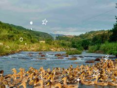 -郴州特产舜华临武鸭(郴州西站店)