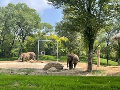 -北京野生动物园