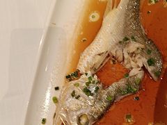 -醉辉皇原味海鲜江南菜(成都大魔方店)