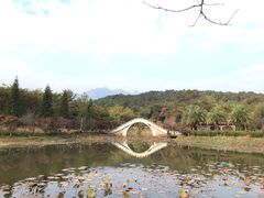 -田野绿世界