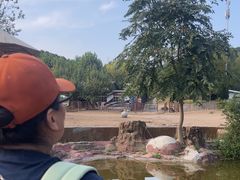 -大连森林动物园