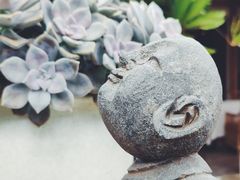 -悦哉·派对·草坪婚礼·围炉煮茶(三圣乡店)