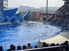 -上海海昌海洋公园