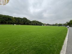 -昆山城市生态森林公园