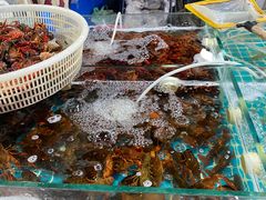 -王四营海鲜市场