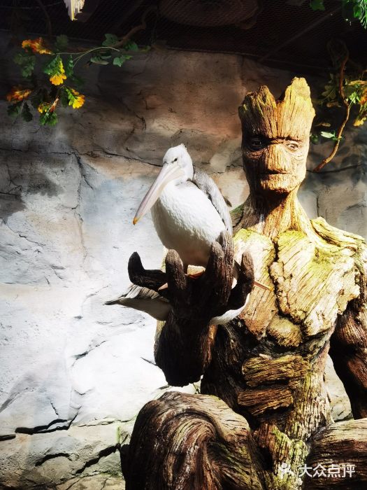 Zoolung Zoolung动物主题公园(海信广场店)图片