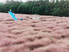 -嘉北郊野公园