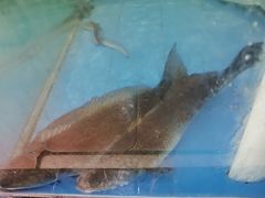 -宋船渔栈(白沙店)