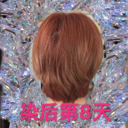 点击看大图 -重道造型