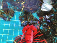 -醉壹号海鲜大排档(厦门美食地标店)