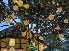 -醉月城西昌火盆烧烤(天府店)