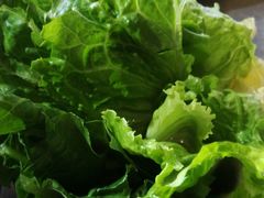 -探窝·竹笙椰子鸡(杨箕店)