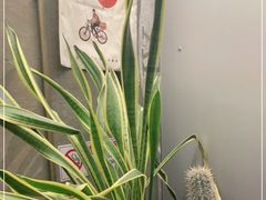 -BERRY BEANS(东直门店)