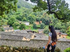-杨家堂村