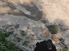 -天津市动物园
