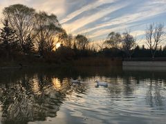 -朋友的火锅店(苏家屯店)