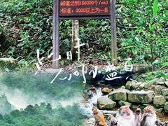 -姑婆山旅游区