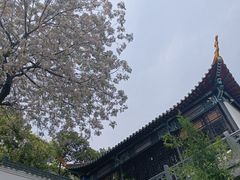 -月湖风景区