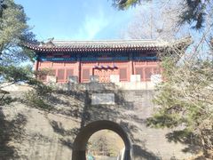 -云岗森林公园