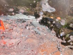 -雅鲁激流探险漂流