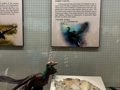 -辽宁古生物博物馆