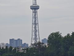 -沙澧河风景区