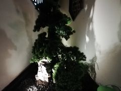 -東大方(海宁海昌路店)
