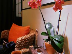 -Angkor SPA 柬埔寨古法按摩(环贸店)