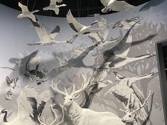-中国湿地博物馆