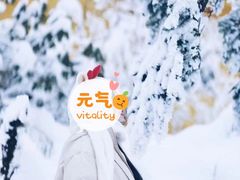 -瓦屋山景区