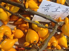 -循礼门鲜花花市(武汉循礼门店)