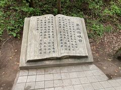 -茅兰沟国家森林公园