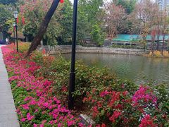 -荔湾湖公园