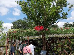 -广州神农草堂中医药博物馆
