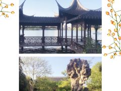 -莫愁湖公园