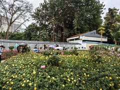 -人民公园(罗湖区)