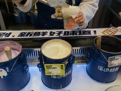 -溪边姑娘·拉丝酸奶水果捞(春熙路店)