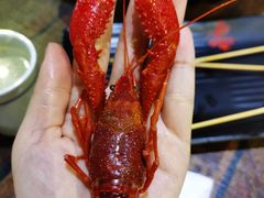 -龙虾风暴(松江店)