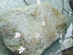 -威海天沐度假区温泉
