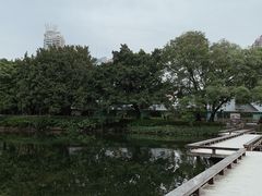 -东山湖公园