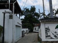 -安吉龙王山峡谷漂流