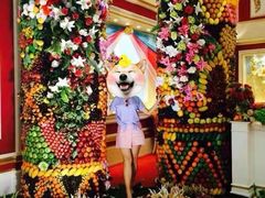 -富贵黄金屋