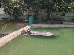 -乐和乐都主题乐园