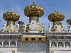 -上海东林寺(金山区)
