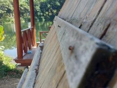 -李小龙乐园(顺德均安店)